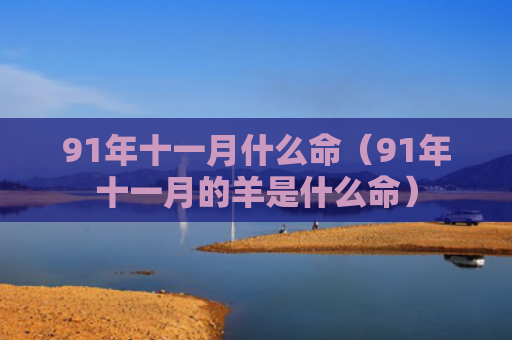 91年十一月什么命（91年十一月的羊是什么命）