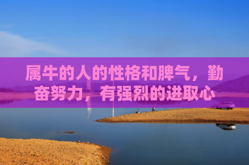 属牛的人的性格和脾气，勤奋努力，有强烈的进取心