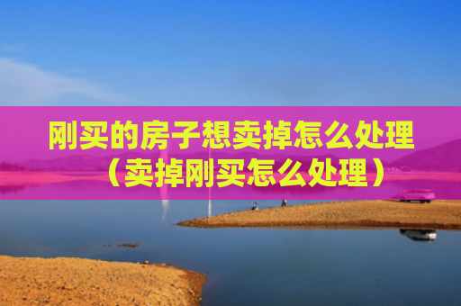 刚买的房子想卖掉怎么处理（卖掉刚买怎么处理）