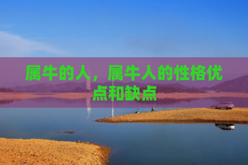 属牛的人，属牛人的性格优点和缺点