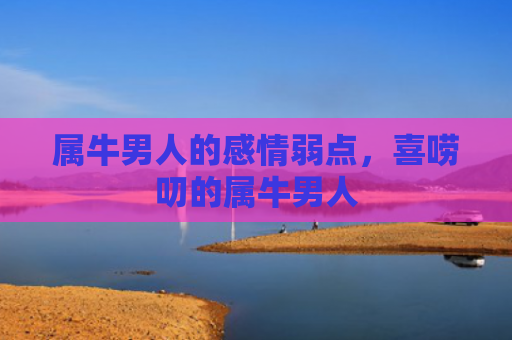 属牛男人的感情弱点，喜唠叨的属牛男人