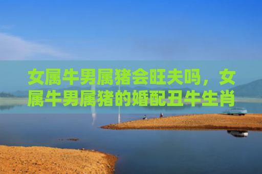 女属牛男属猪会旺夫吗，女属牛男属猪的婚配丑牛生肖配对恋爱建议