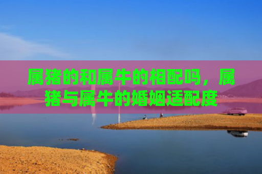属猪的和属牛的相配吗，属猪与属牛的婚姻适配度