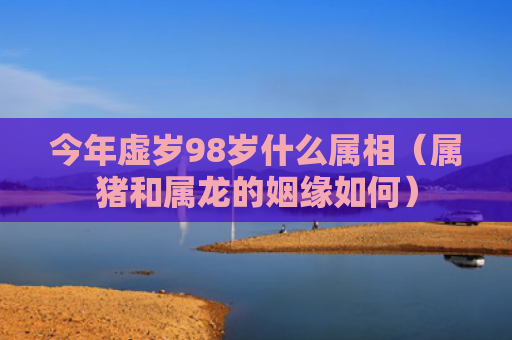 今年虚岁98岁什么属相（属猪和属龙的姻缘如何）