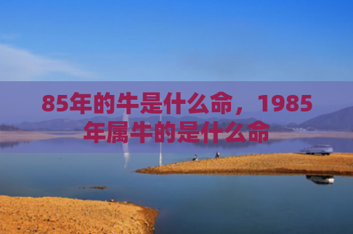 85年的牛是什么命，1985年属牛的是什么命