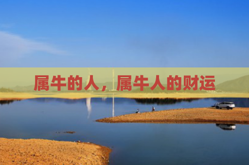 属牛的人，属牛人的财运