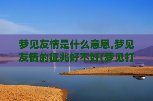 梦见友情是什么意思,梦见友情的征兆好不好(梦见打扫则所什么意)