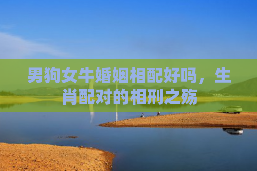 男狗女牛婚姻相配好吗，生肖配对的相刑之殇
