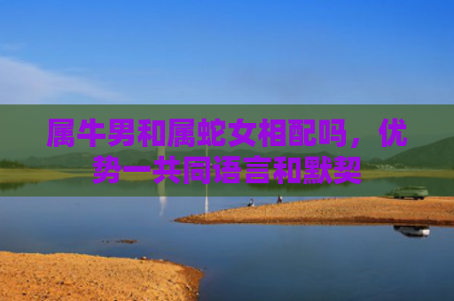 属牛男和属蛇女相配吗，优势一共同语言和默契