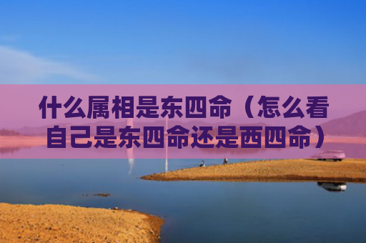 什么属相是东四命（怎么看自己是东四命还是西四命）
