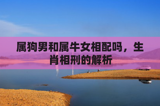 属狗男和属牛女相配吗，生肖相刑的解析