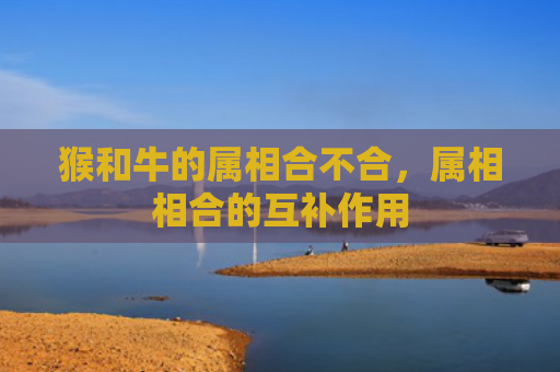 猴和牛的属相合不合，属相相合的互补作用