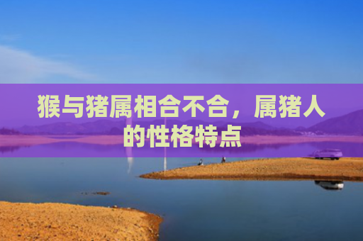 猴与猪属相合不合，属猪人的性格特点