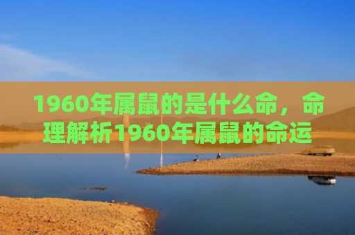 1960年属鼠的是什么命，命理解析1960年属鼠的命运
