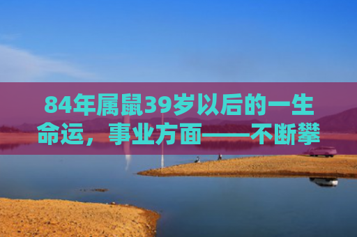 84年属鼠39岁以后的一生命运，事业方面——不断攀爬的职场征途