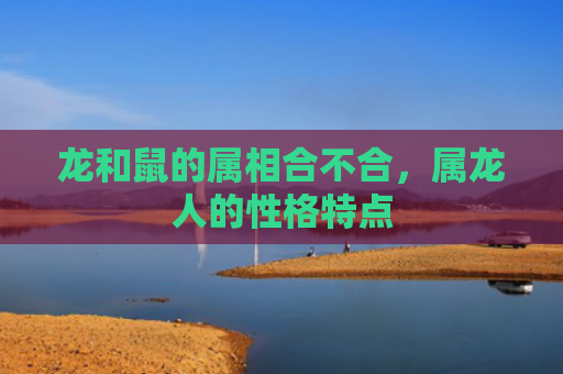 龙和鼠的属相合不合，属龙人的性格特点