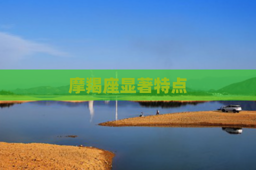 摩羯座显著特点