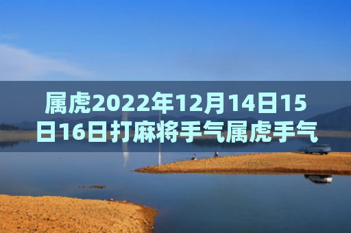 属虎2022年12月14日15日16日打麻将手气属虎手气麻将
