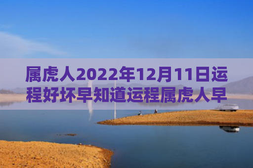 属虎人2022年12月11日运程好坏早知道运程属虎人早知道