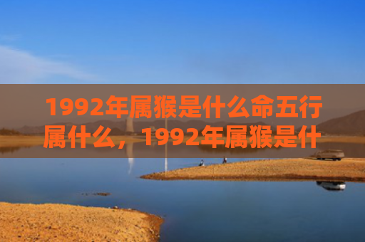 1992年属猴是什么命五行属什么，1992年属猴是什么命五行属什么，解析水猴的性格特点和运势