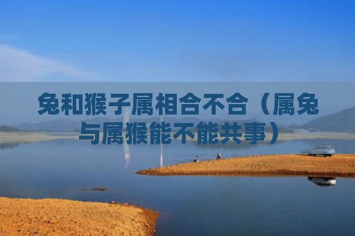 兔和猴子属相合不合（属兔与属猴能不能共事）