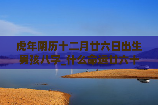 虎年阴历十二月廿六日出生男孩八字_什么命运廿六十二月阴历