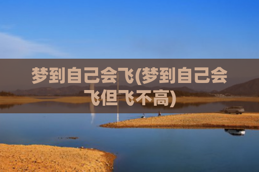梦到自己会飞(梦到自己会飞但飞不高)