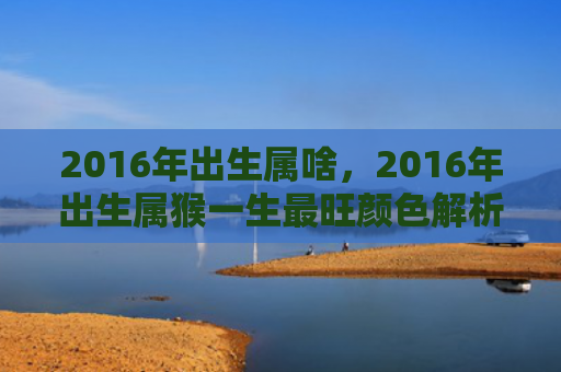 2016年出生属啥，2016年出生属猴一生最旺颜色解析，让你事业爱情双丰收
