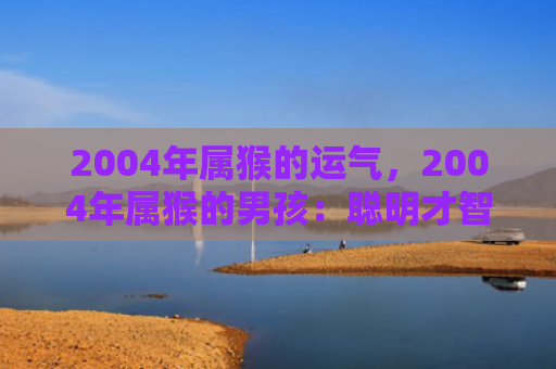2004年属猴的运气，2004年属猴的男孩：聪明才智与命运挑战