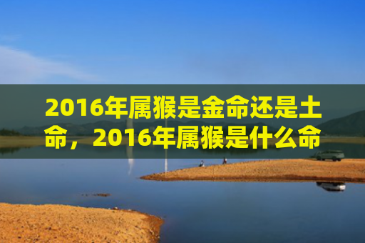 2016年属猴是金命还是土命，2016年属猴是什么命五行属什么，火猴的性格特点及运势分析