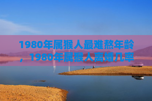 1980年属猴人最难熬年龄，1980年属猴人离婚几率及分析