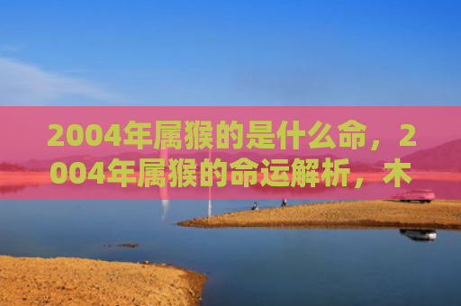 2004年属猴的是什么命，2004年属猴的命运解析，木猴人的特点与优势