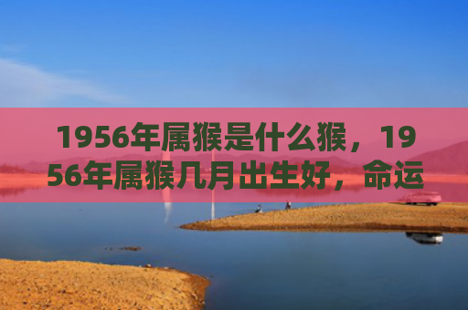 1956年属猴是什么猴，1956年属猴几月出生好，命运解析与风水提升财运