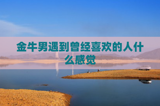 金牛男遇到曾经喜欢的人什么感觉