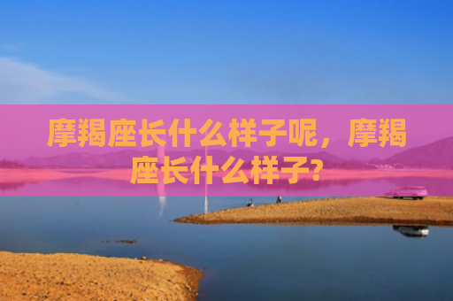 摩羯座长什么样子呢，摩羯座长什么样子?