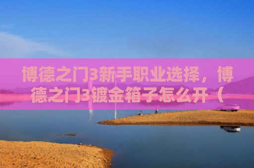 博德之门3新手职业选择，博德之门3镀金箱子怎么开（职业选择之门博德）
