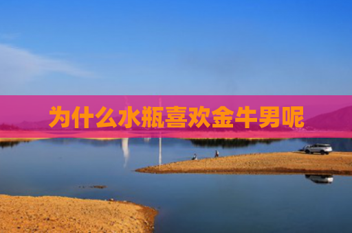 为什么水瓶喜欢金牛男呢