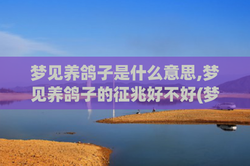 梦见养鸽子是什么意思,梦见养鸽子的征兆好不好(梦见家里养的鸽子是什么意思)