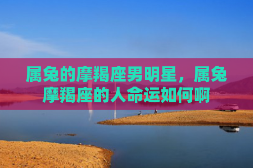 属兔的摩羯座男明星，属兔摩羯座的人命运如何啊