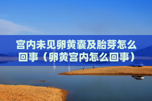 宫内未见卵黄囊及胎芽怎么回事（卵黄宫内怎么回事）