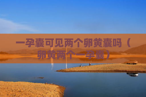一孕囊可见两个卵黄囊吗（卵黄两个一孕囊）