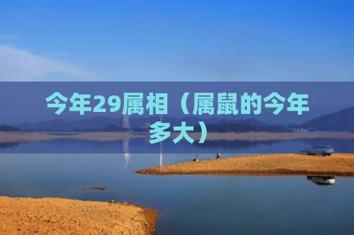 今年29属相（属鼠的今年多大）