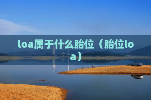 loa属于什么胎位（胎位loa）