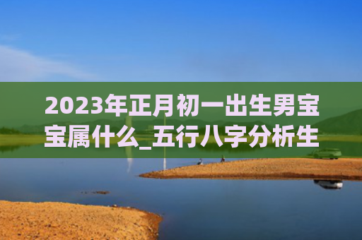 2023年正月初一出生男宝宝属什么_五行八字分析生男正月初属什么