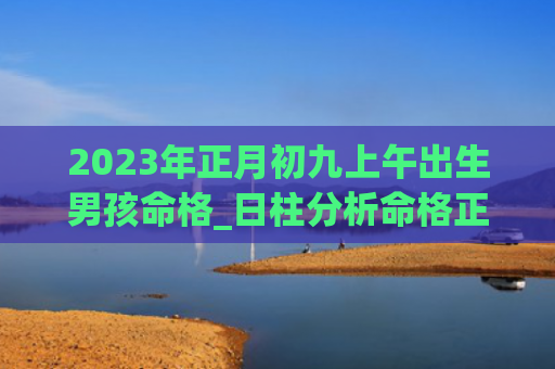 2023年正月初九上午出生男孩命格_日柱分析命格正月初九出生