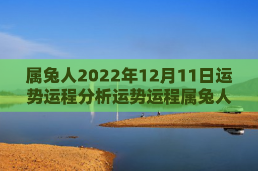 属兔人2022年12月11日运势运程分析运势运程属兔人