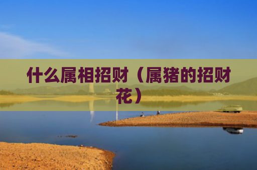 什么属相招财（属猪的招财花）