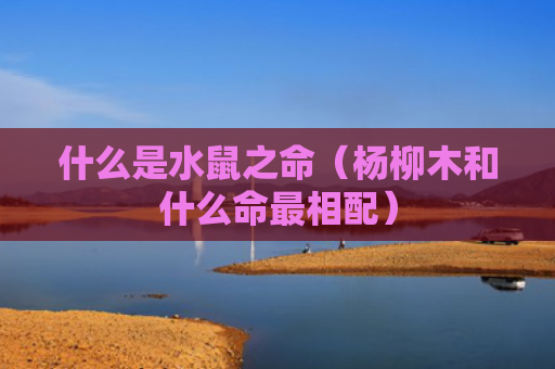 什么是水鼠之命（杨柳木和什么命最相配）