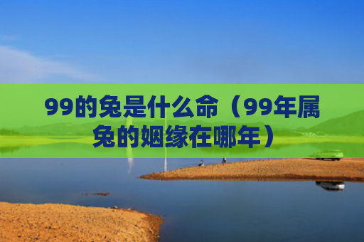 99的兔是什么命（99年属兔的姻缘在哪年）