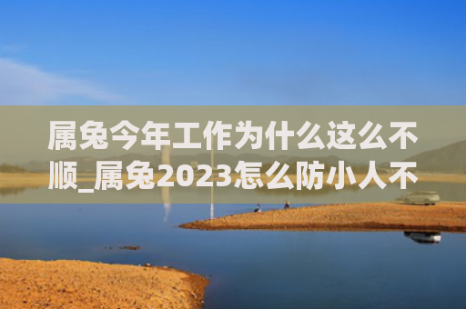 属兔今年工作为什么这么不顺_属兔2023怎么防小人不顺属兔今年属兔